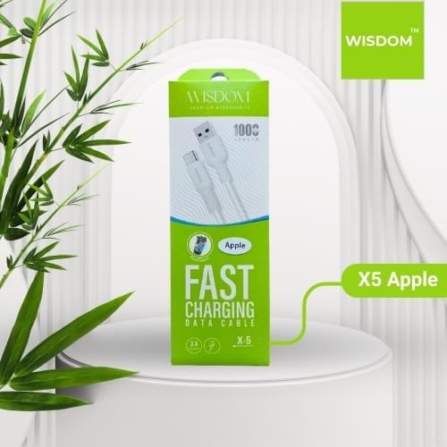 Wisdom X5 Apple cable